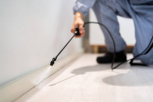 Licensed Termite Control service in Hillsboro, OH - Nex Pest Control