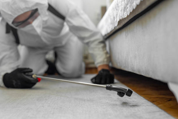 Professional Termite Control technician working in Hillsboro, OH