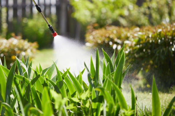 24/7 Emergency Termite Control experts in Hillsboro, OH