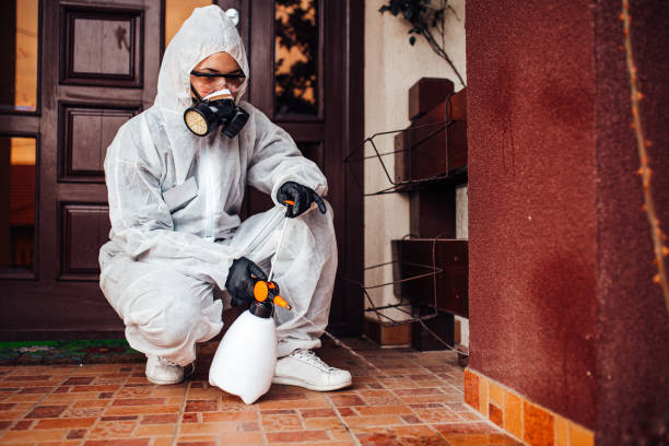 Reliable Termite Control contractor in Hillsboro, OH by Nex Pest Control