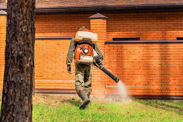Trusted Bed Bug Control service in Hillsboro, OH - Nex Pest Control